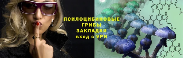 хмурый Дмитриев