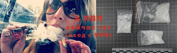 хмурый Дмитриев