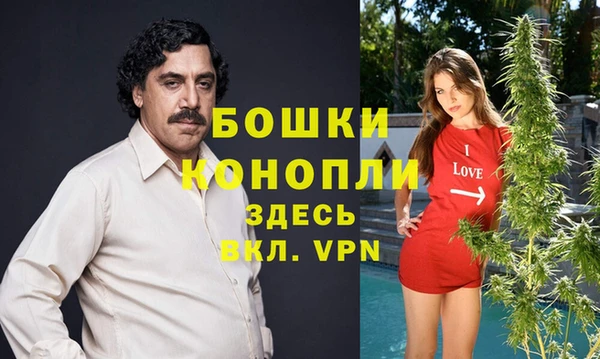твердый Дмитров