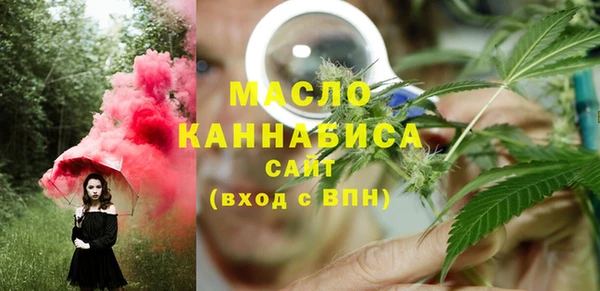 хмурый Дмитриев