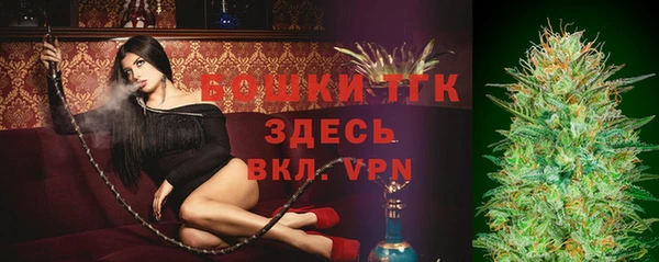 хмурый Дмитриев