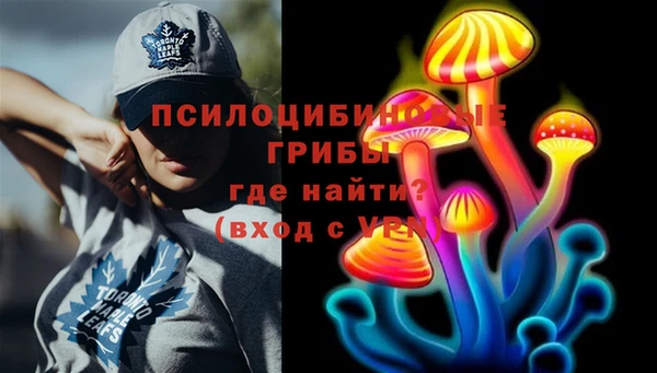 твердый Дмитров