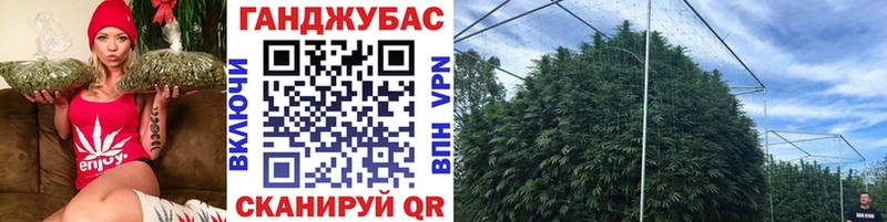 Каннабис семена  Иланский 